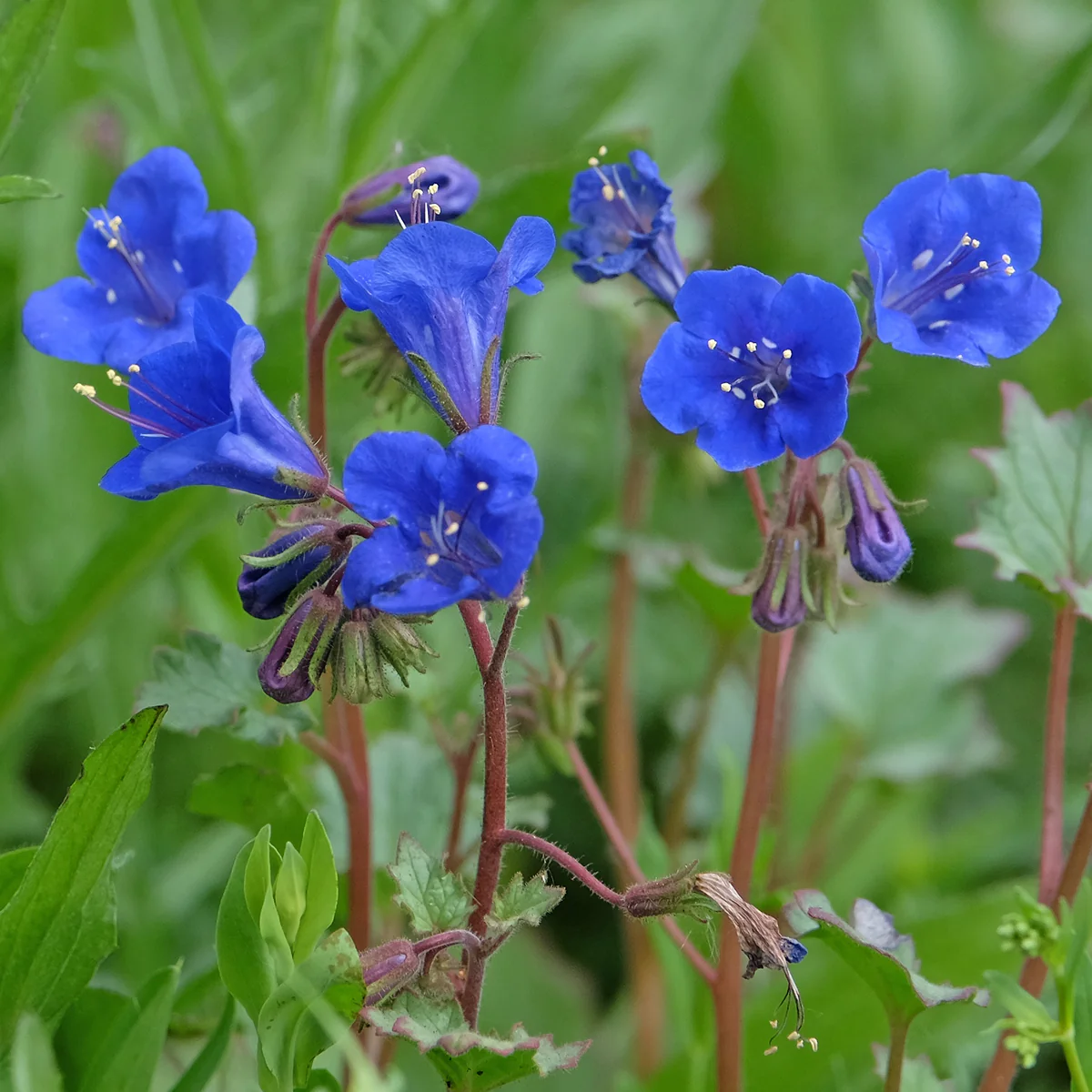 Ihr Gartenparadies beginnt hier