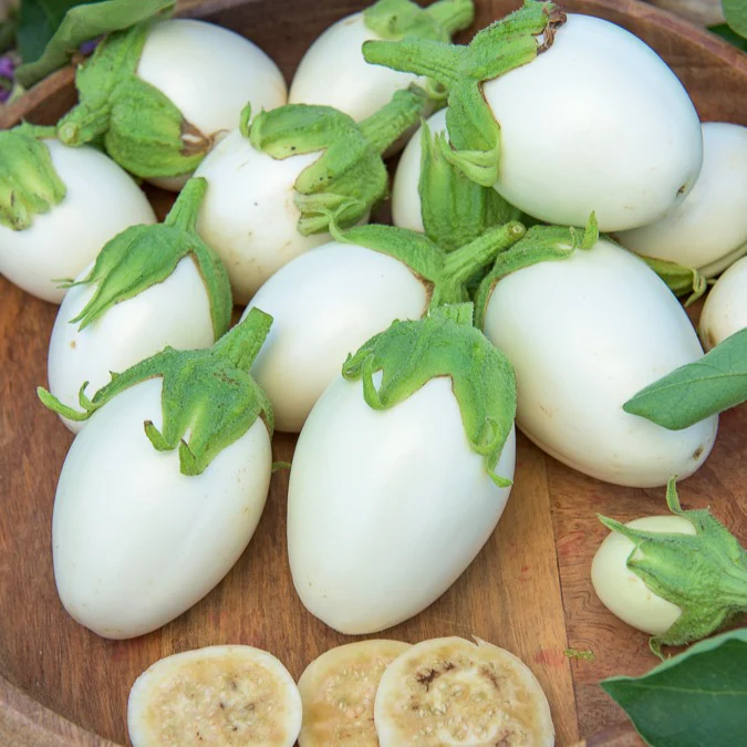 Aubergine ‘Blanche ronde à œufs’ - Image 4