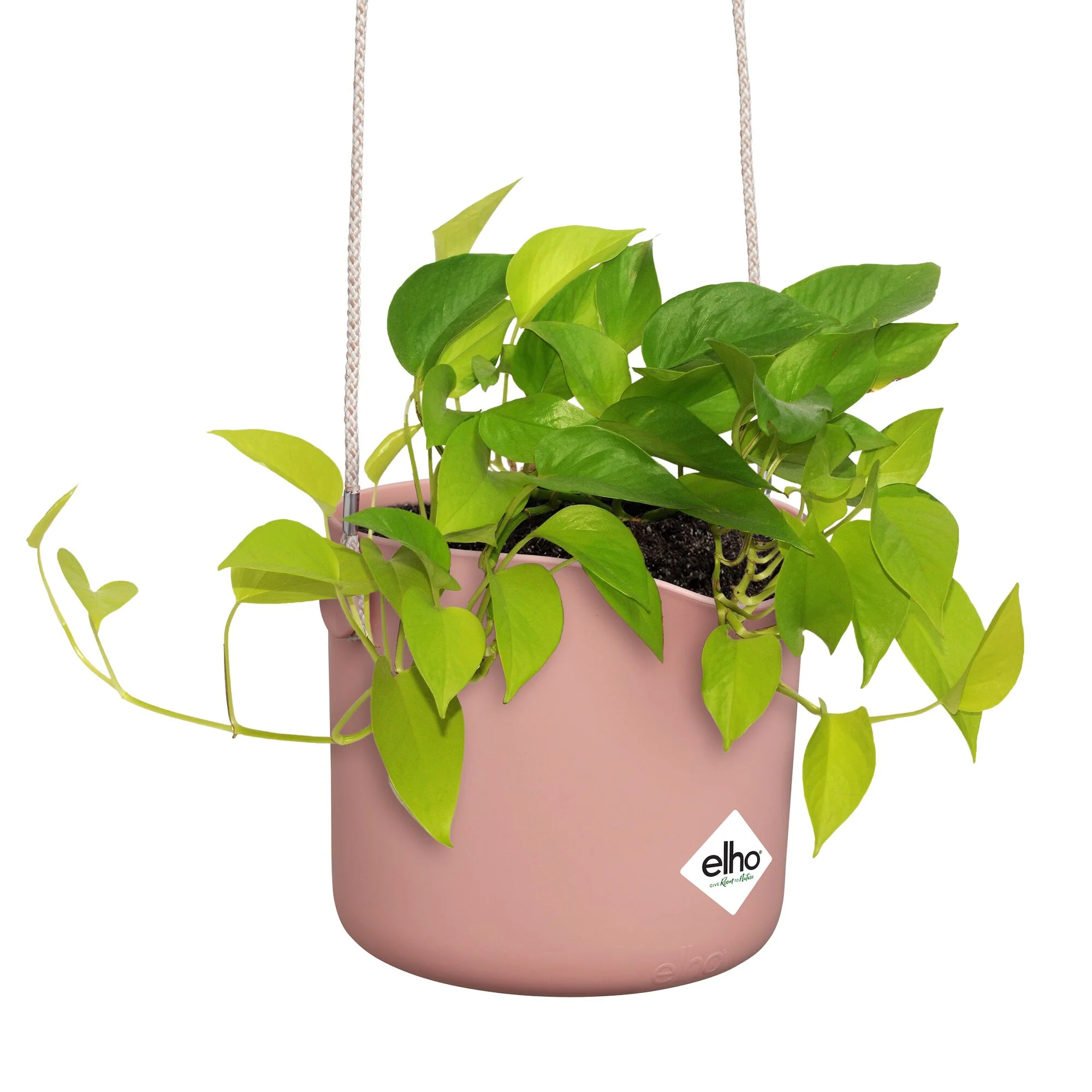 Aufhängung B für Swing rosa ELHO - Image 5