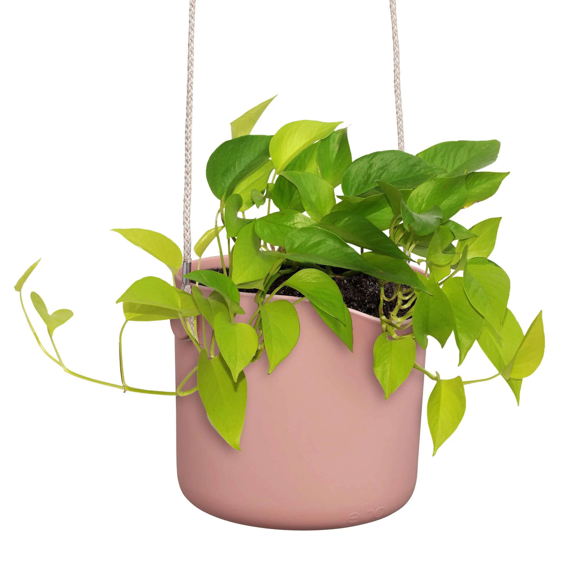 Aufhängung B für Swing rosa ELHO - Image 6