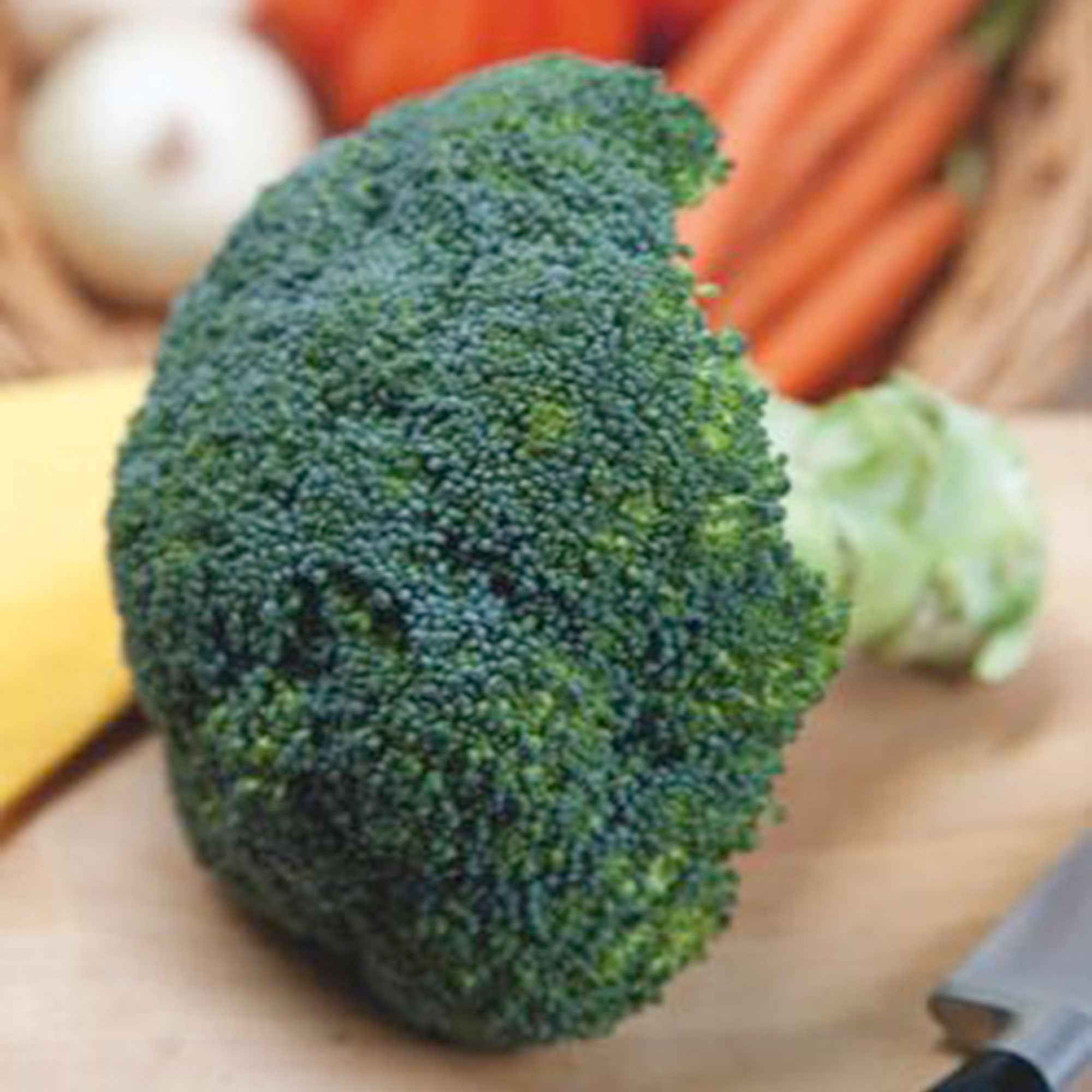 Brokkoli ‘Calabrese Natalino’ - Image 3