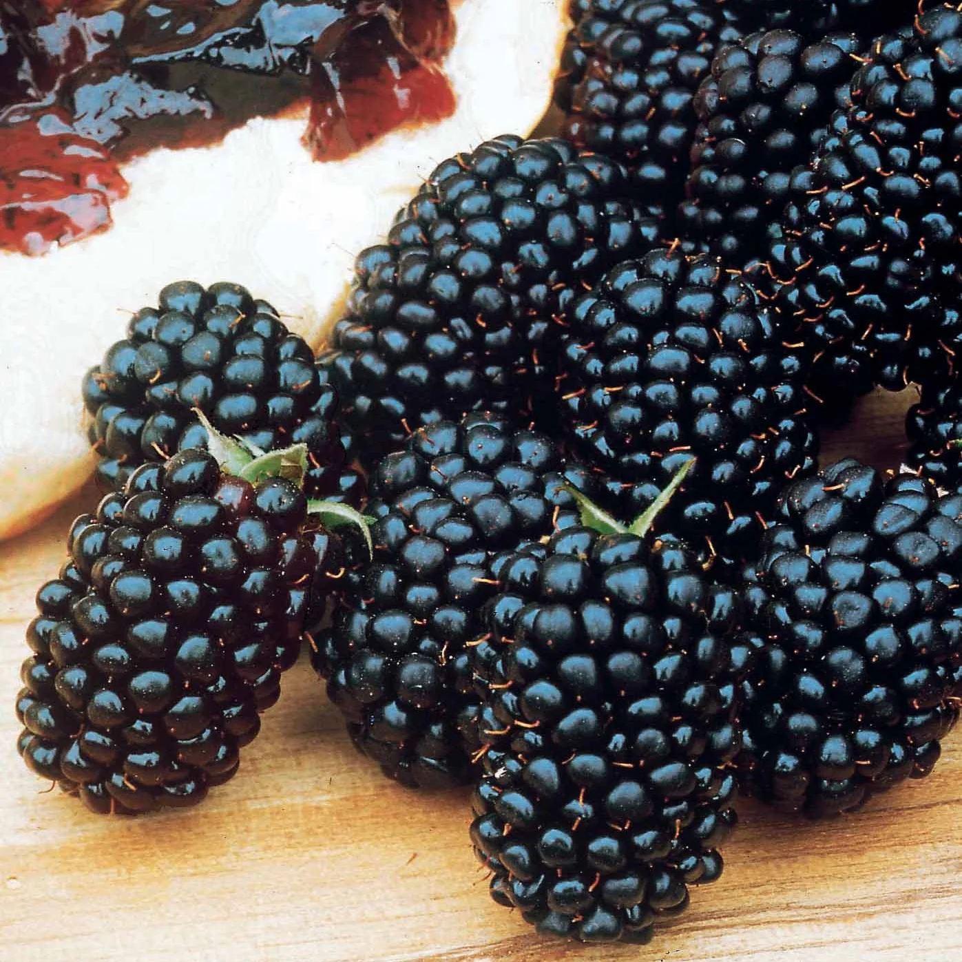 Brombeere Dirksen - Image 3