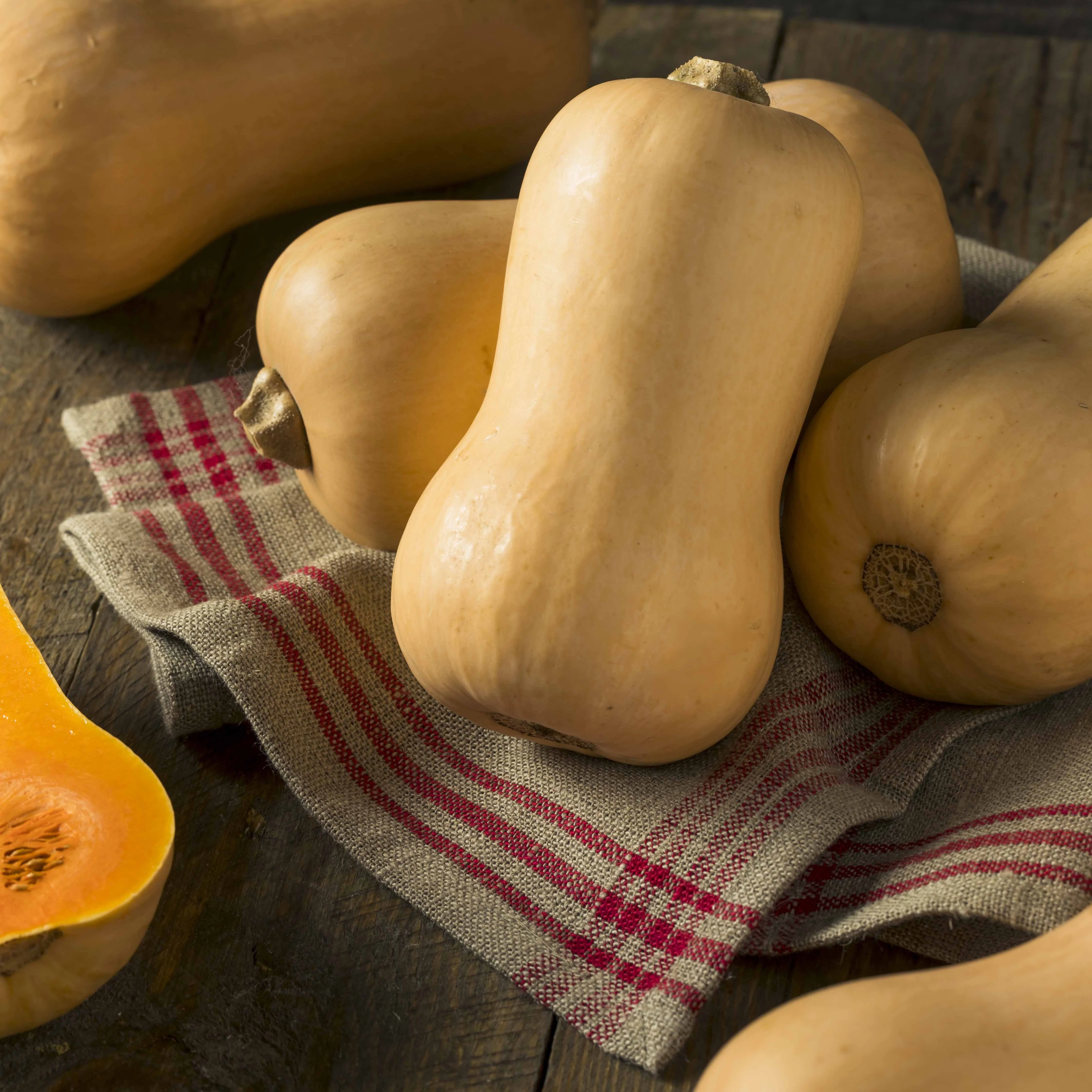 Butternut-Kürbis ‘Hercules’ F1