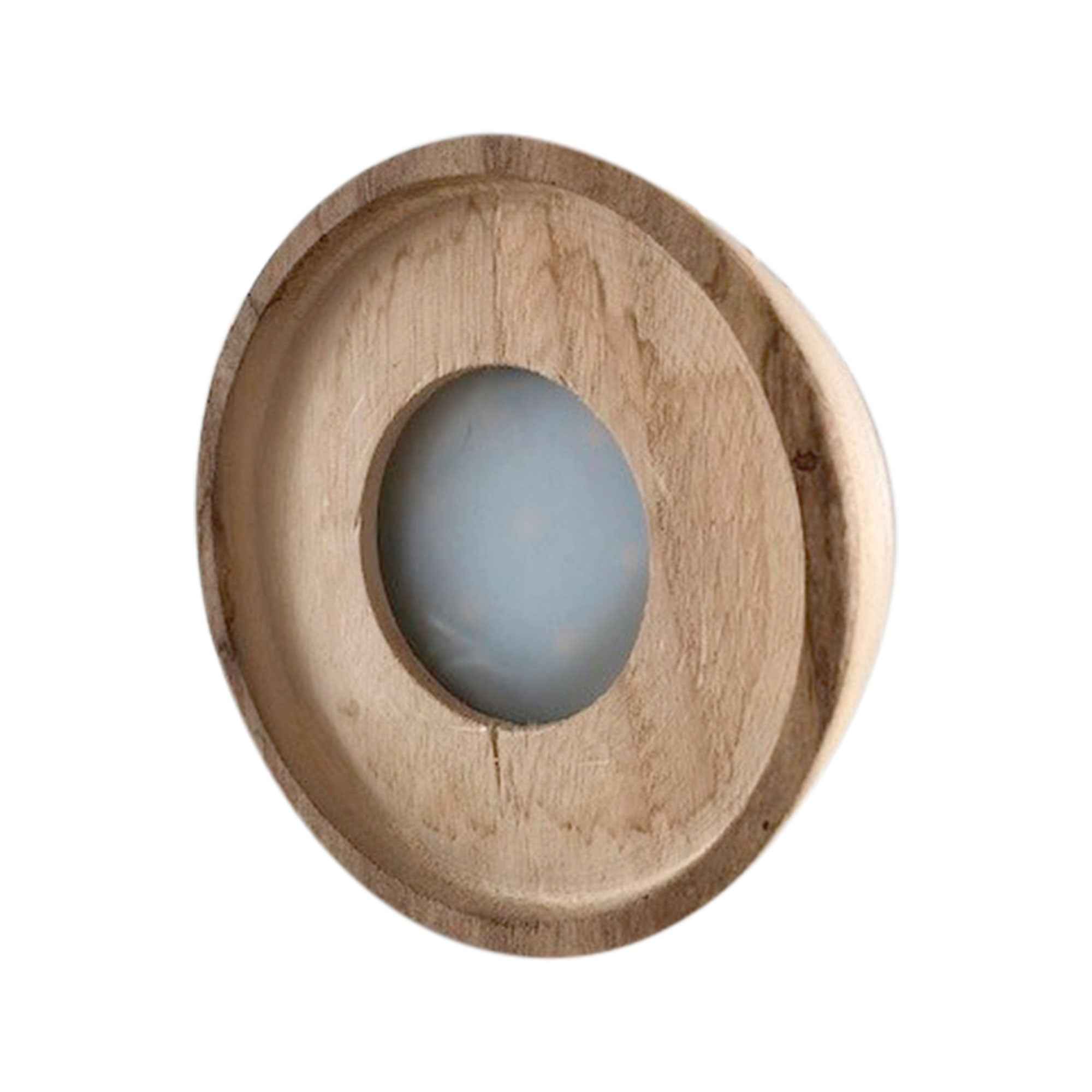 Clusia im Kugelglas mit LED-Beleuchtung - Hydroponik - Image 3