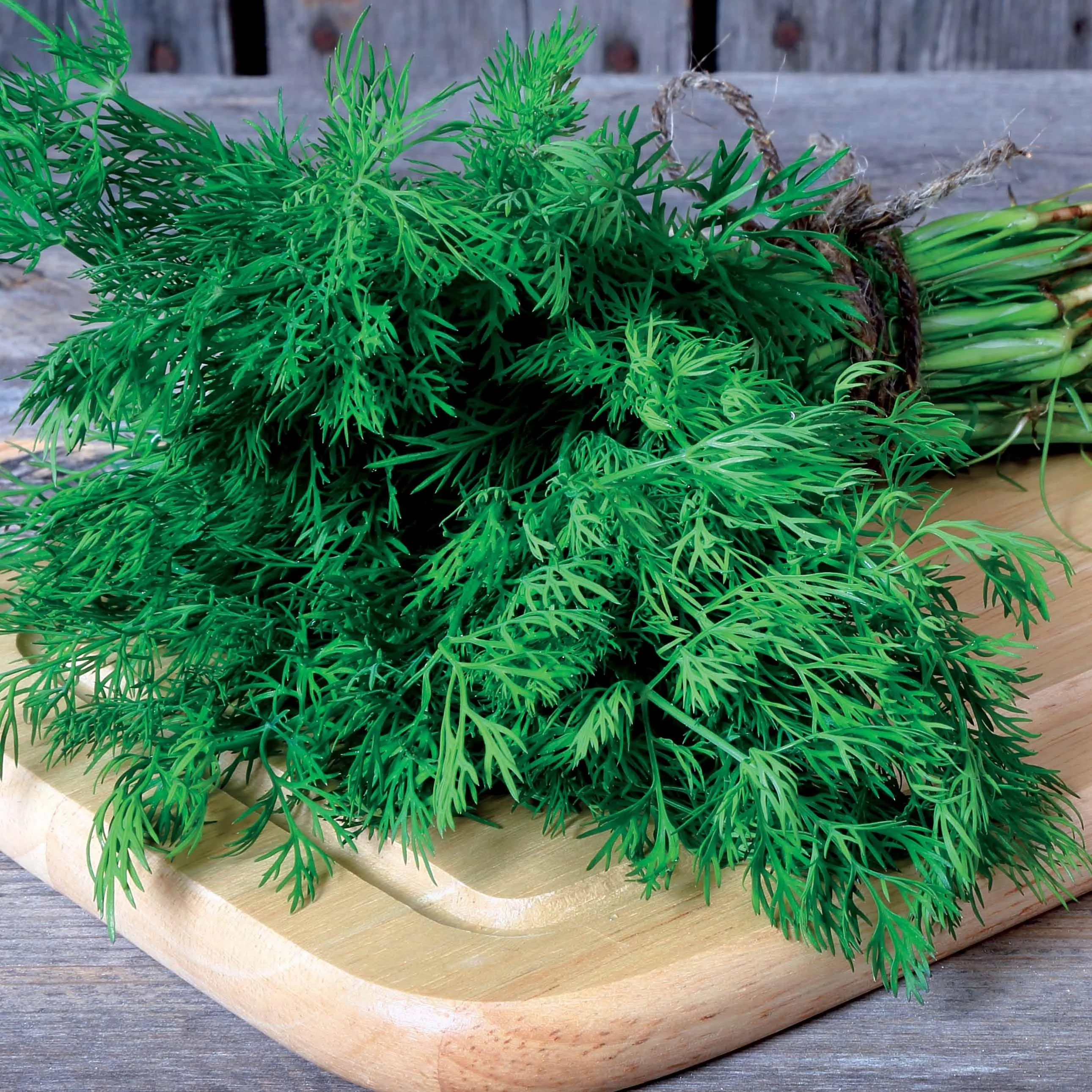 Dill Bouquet - Image 5