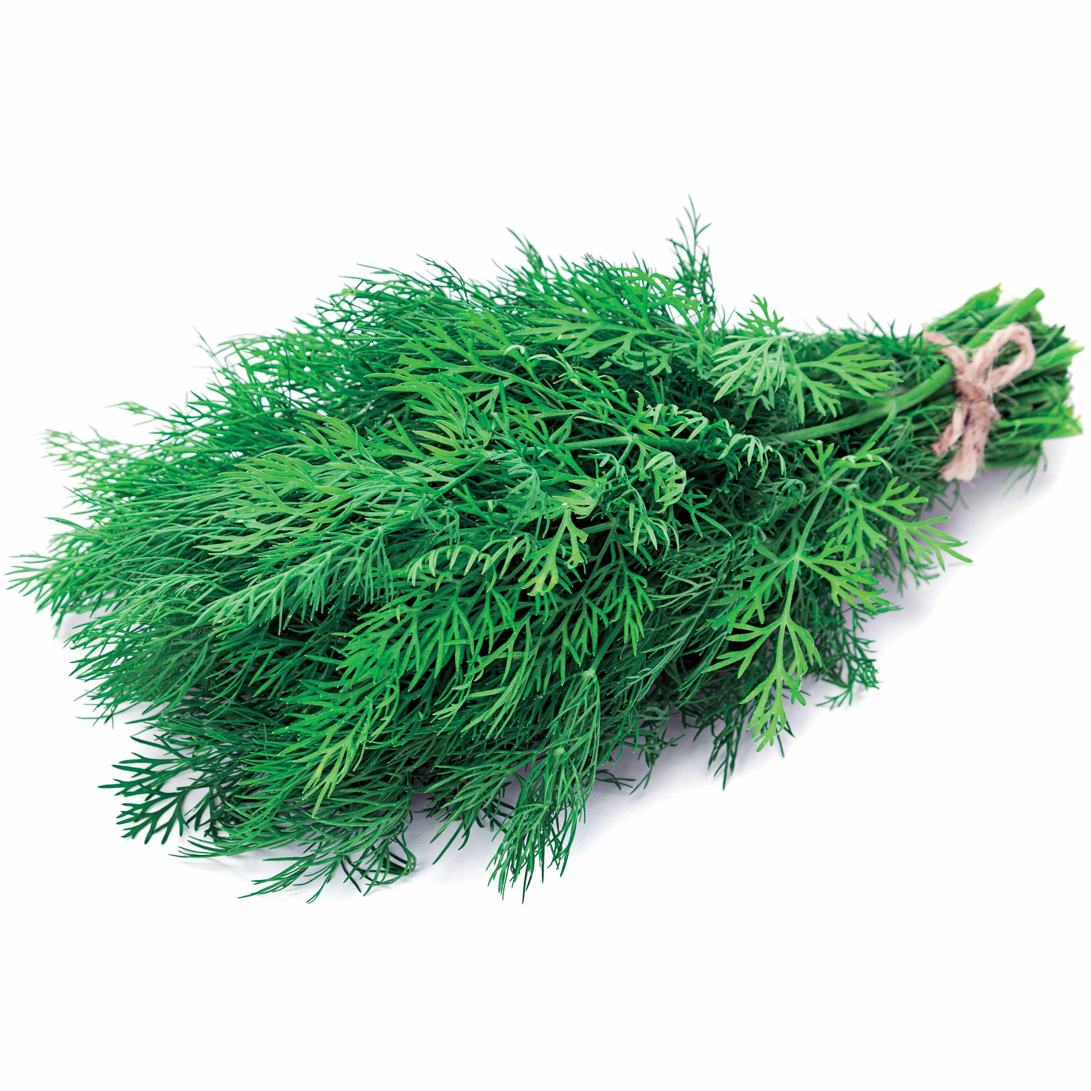 Dill Bouquet - Image 6