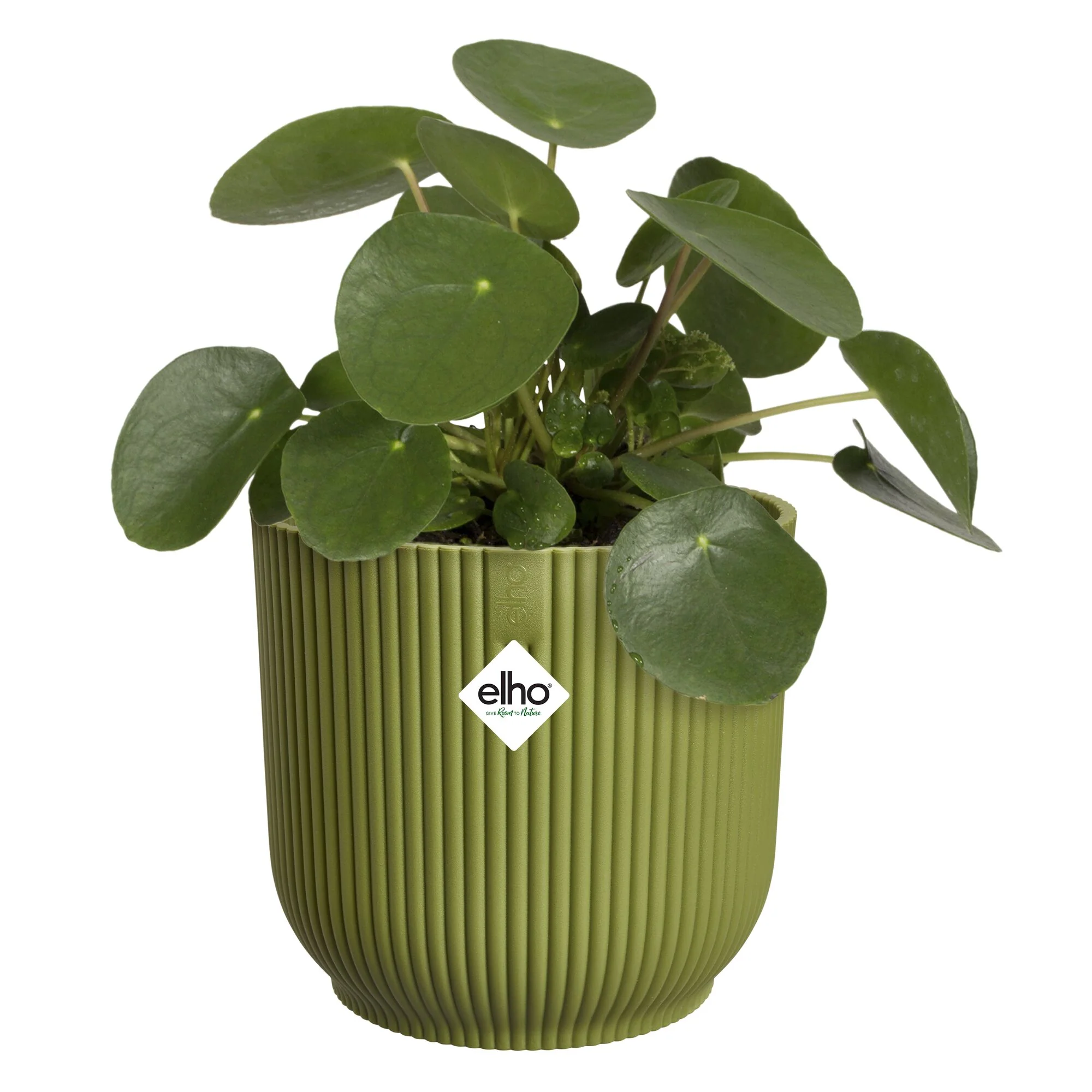 Elho Blumentopf Vibes fold rund ferngrün - Image 2
