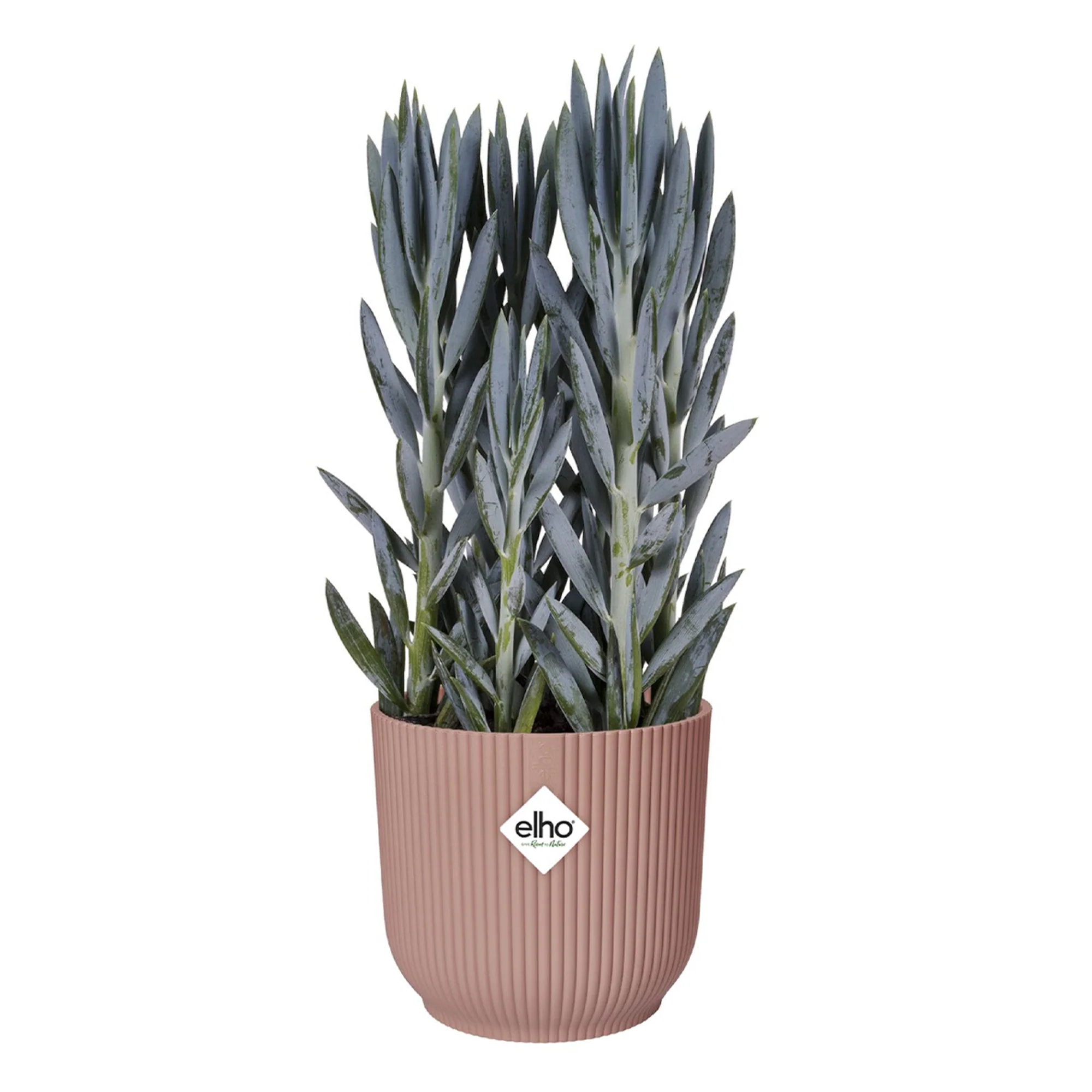 Elho Blumentopf Vibes Fold rund rosa - Innentopf - Image 7