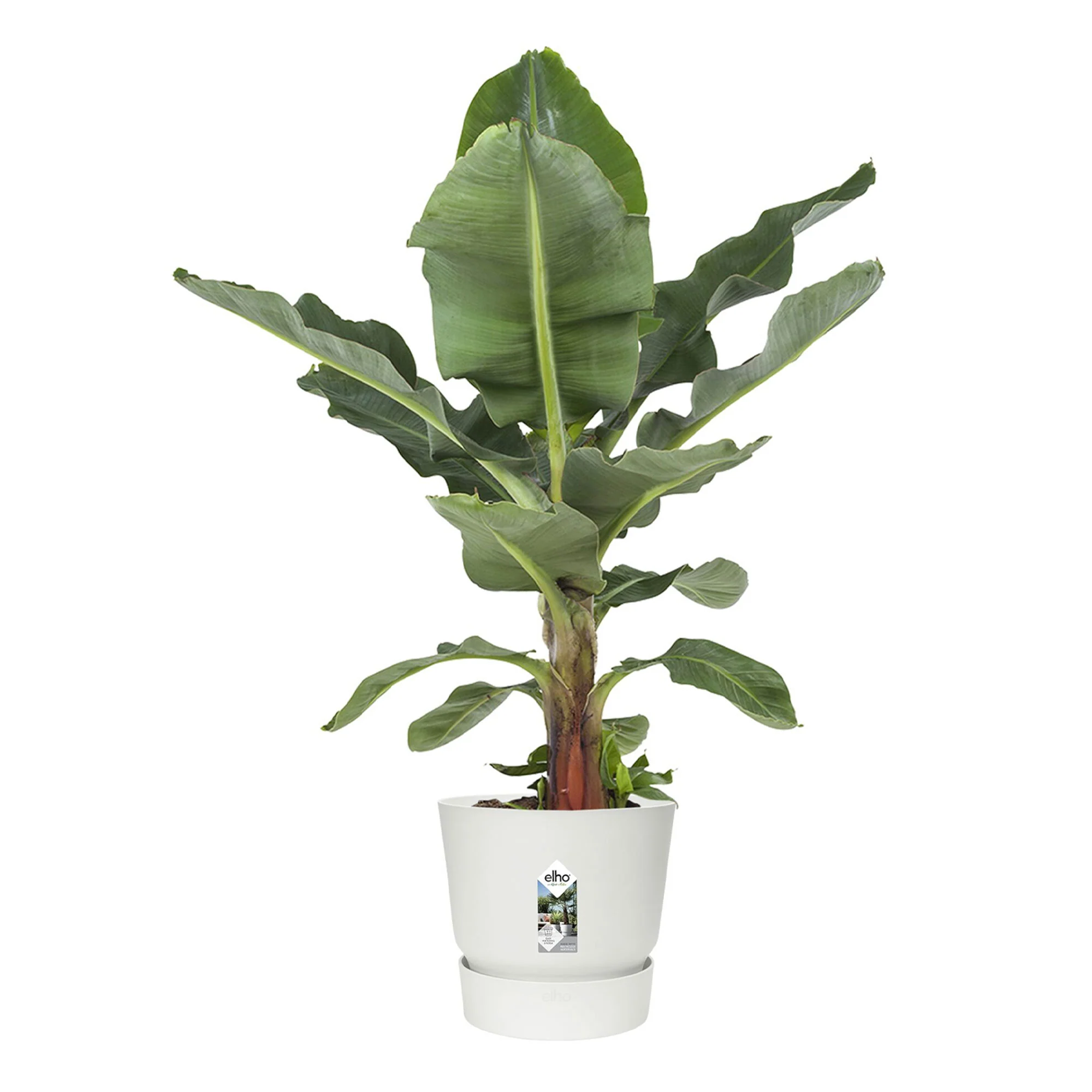 Elho Greenville-Blumentopf, rund, weiß - Pflanzgefäß Outdoor - Image 3