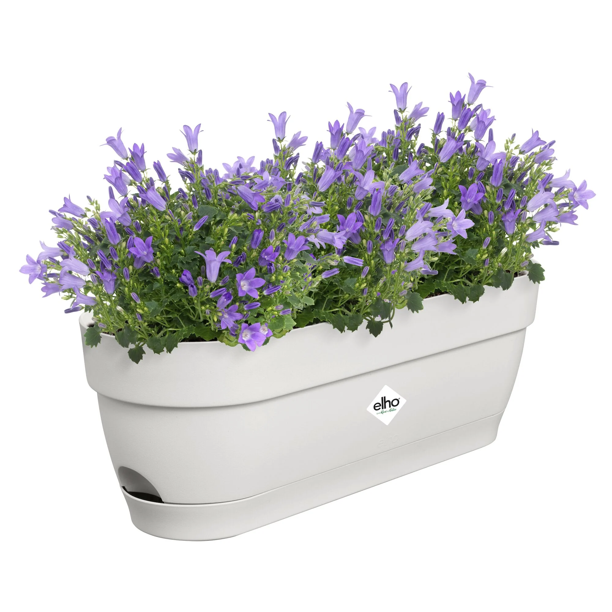 ELHO Pflanzgefäß Vibia Campana Weiß - Image 5