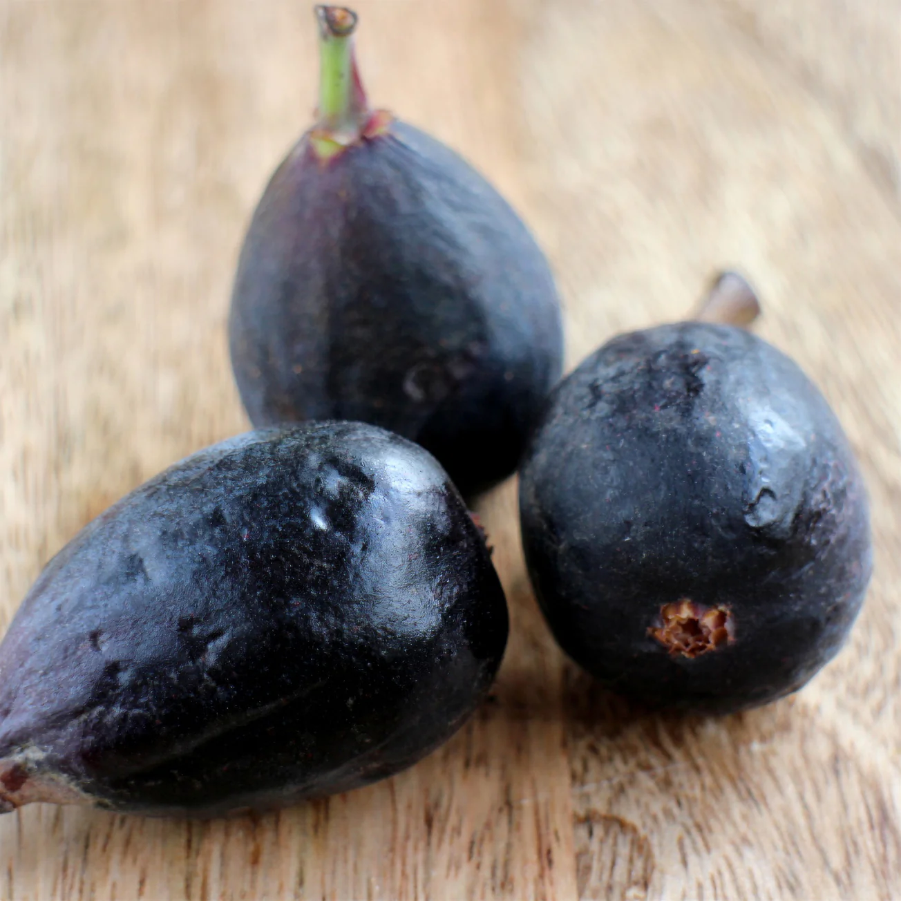Feige 'Noire de Caromb' - Image 2