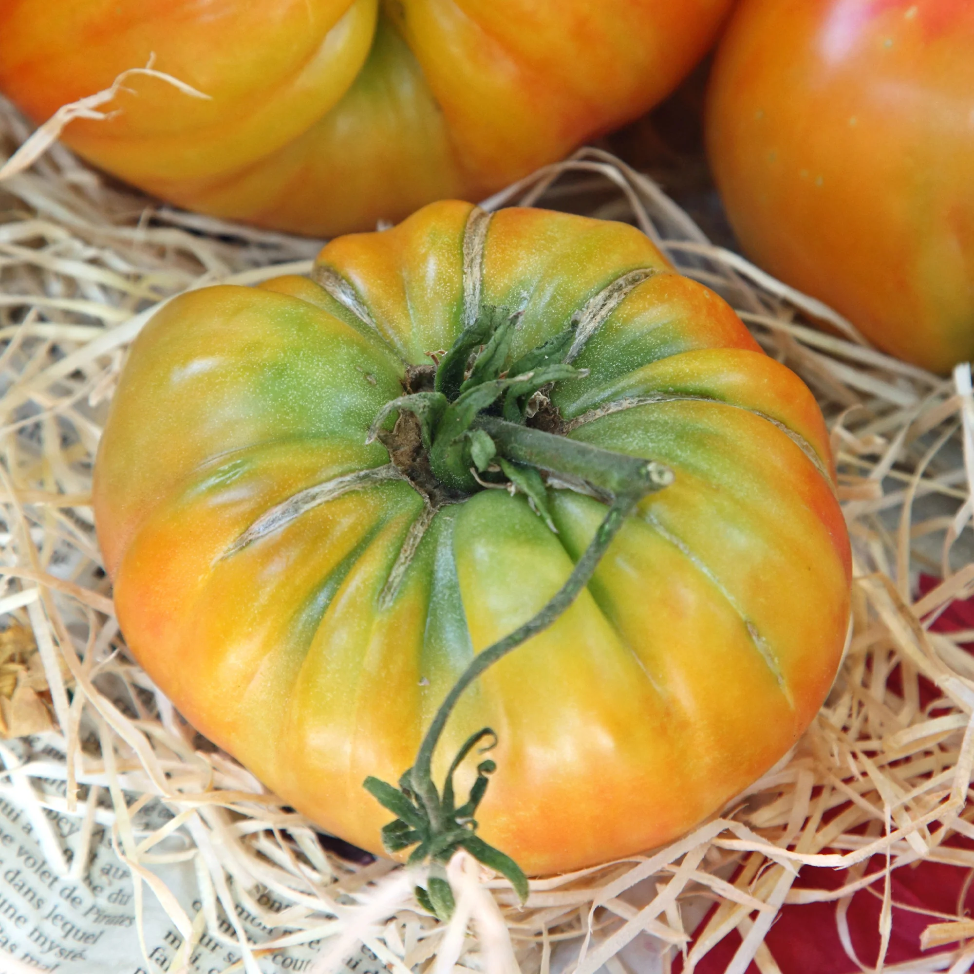Fleischtomate Ananas