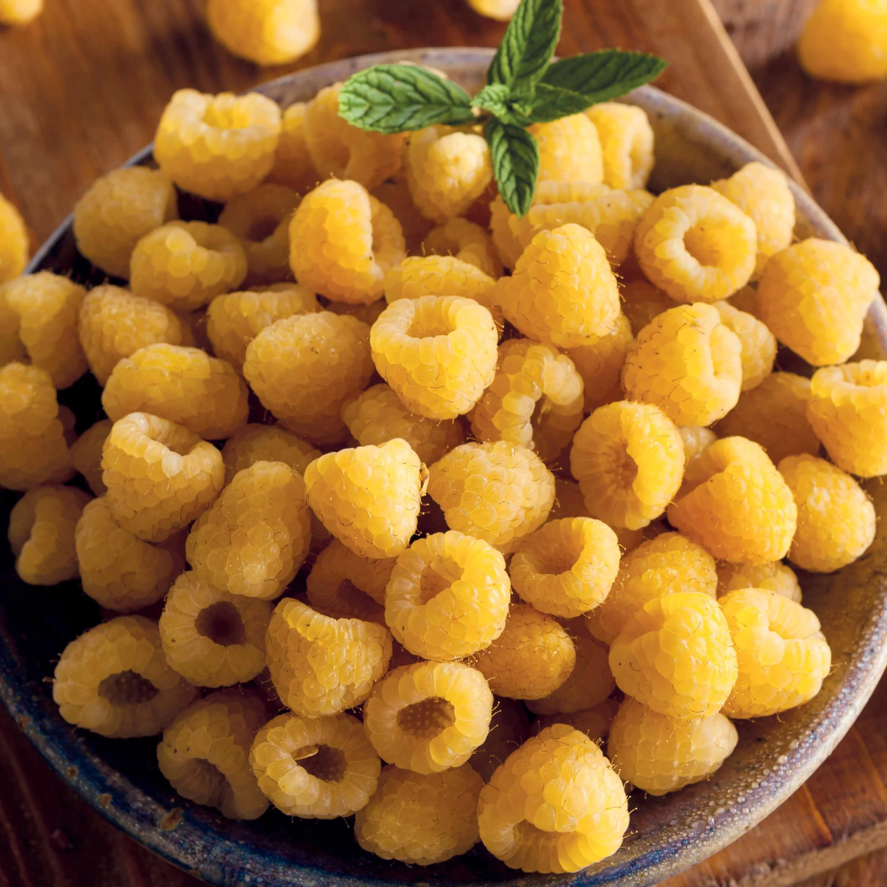 Himbeeren Fallgold - Image 6