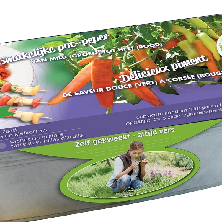 Paprika ‘Hungarian Hot Wax’ Bio mit Zink-Pflanzgefäß