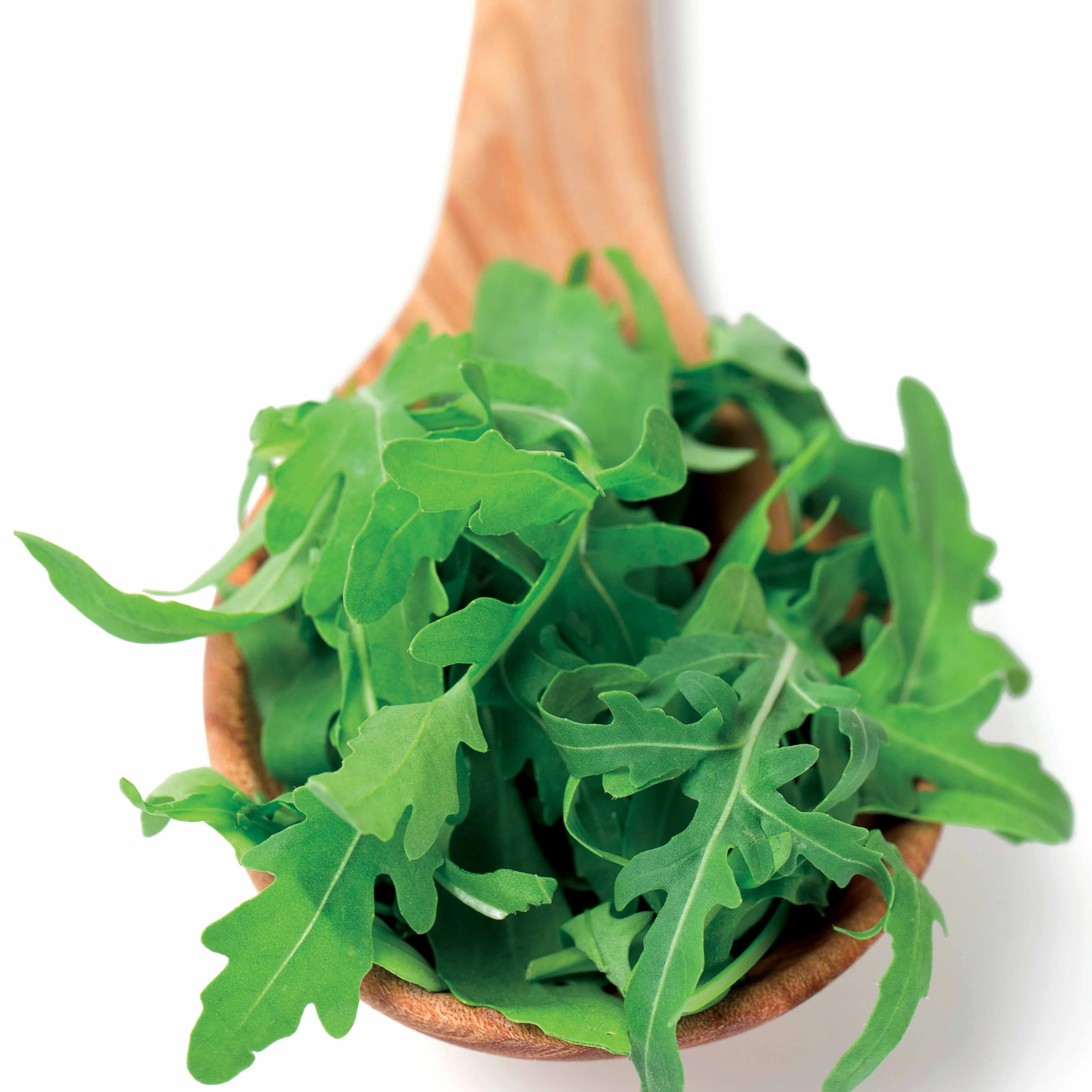 Rucola - Image 2