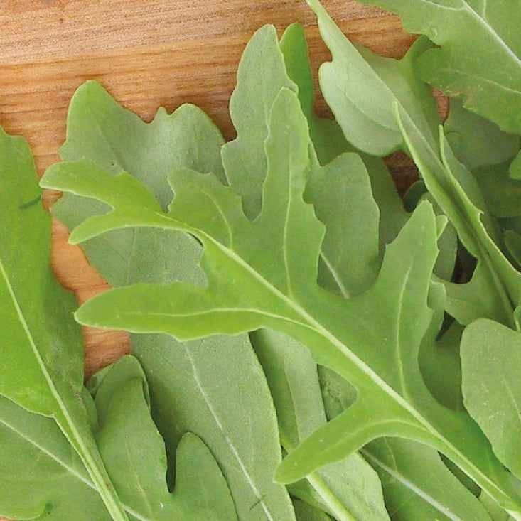 Rucola Rocky Wild Bio - Image 2
