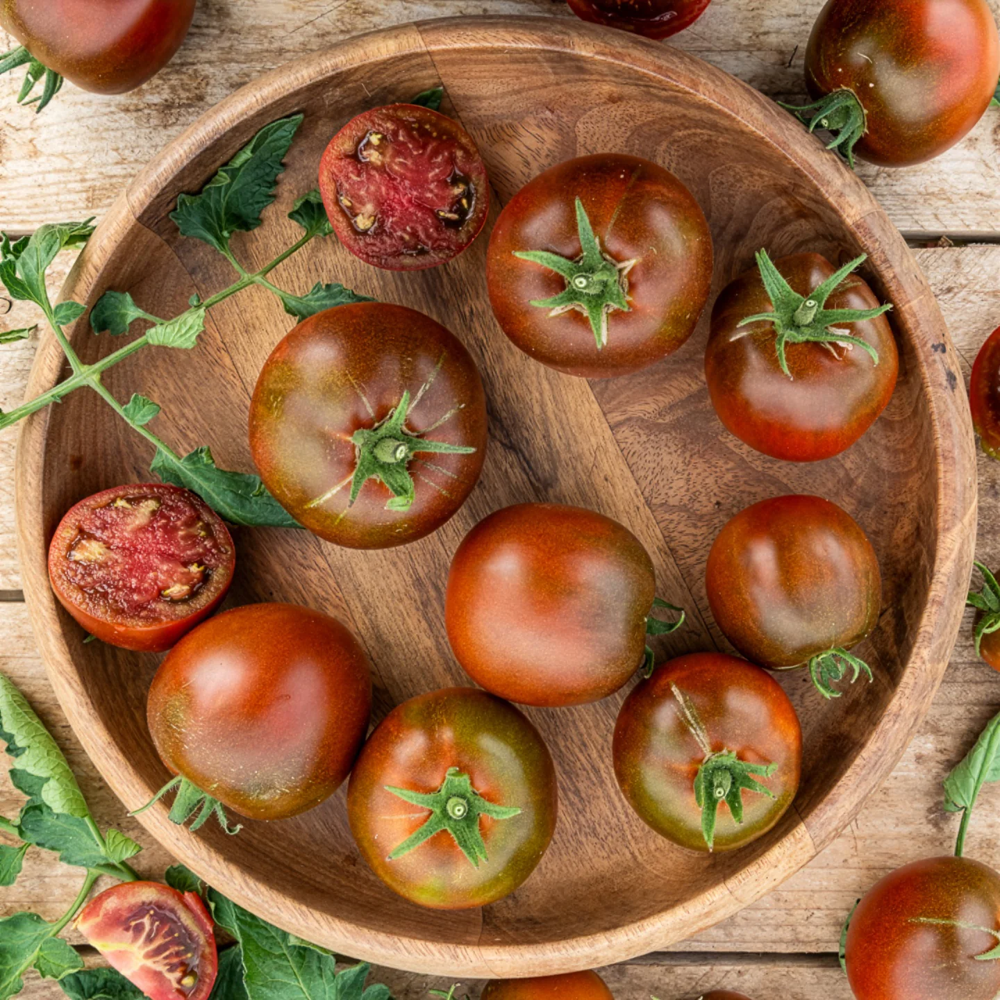 Schwarze Fleischtomate 'Noire Russe' - Image 3