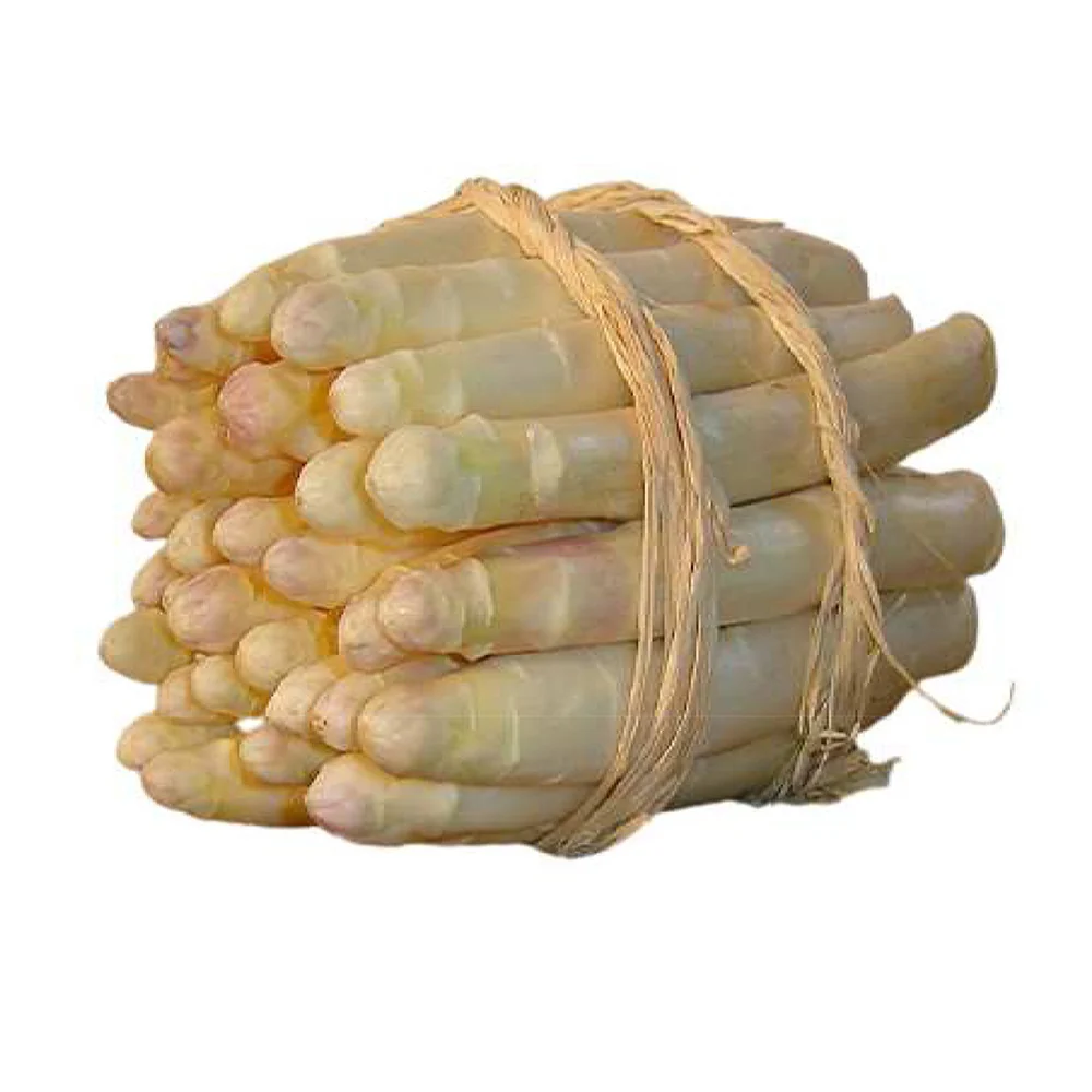 Spargel Argenteuil (x10) - Image 4