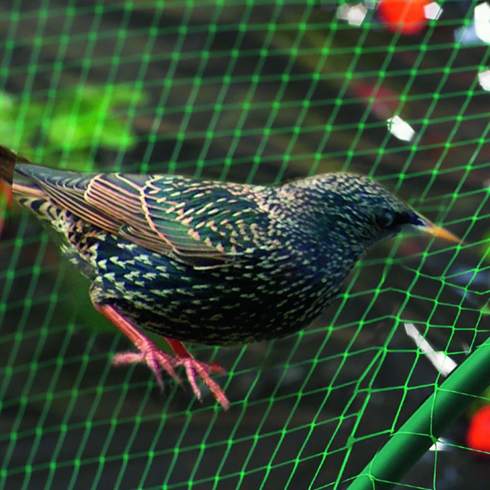 Vogelschutznetz - Image 5