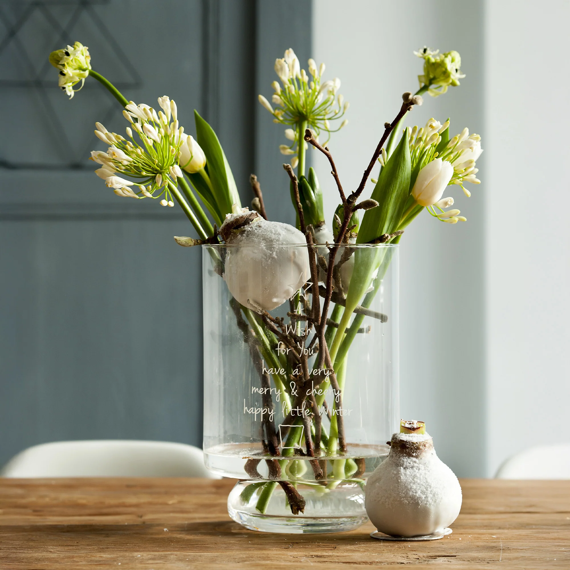Wachs Amaryllis Magic White - Image 3