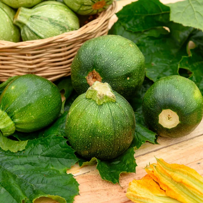 Zucchini Eight Ball F1