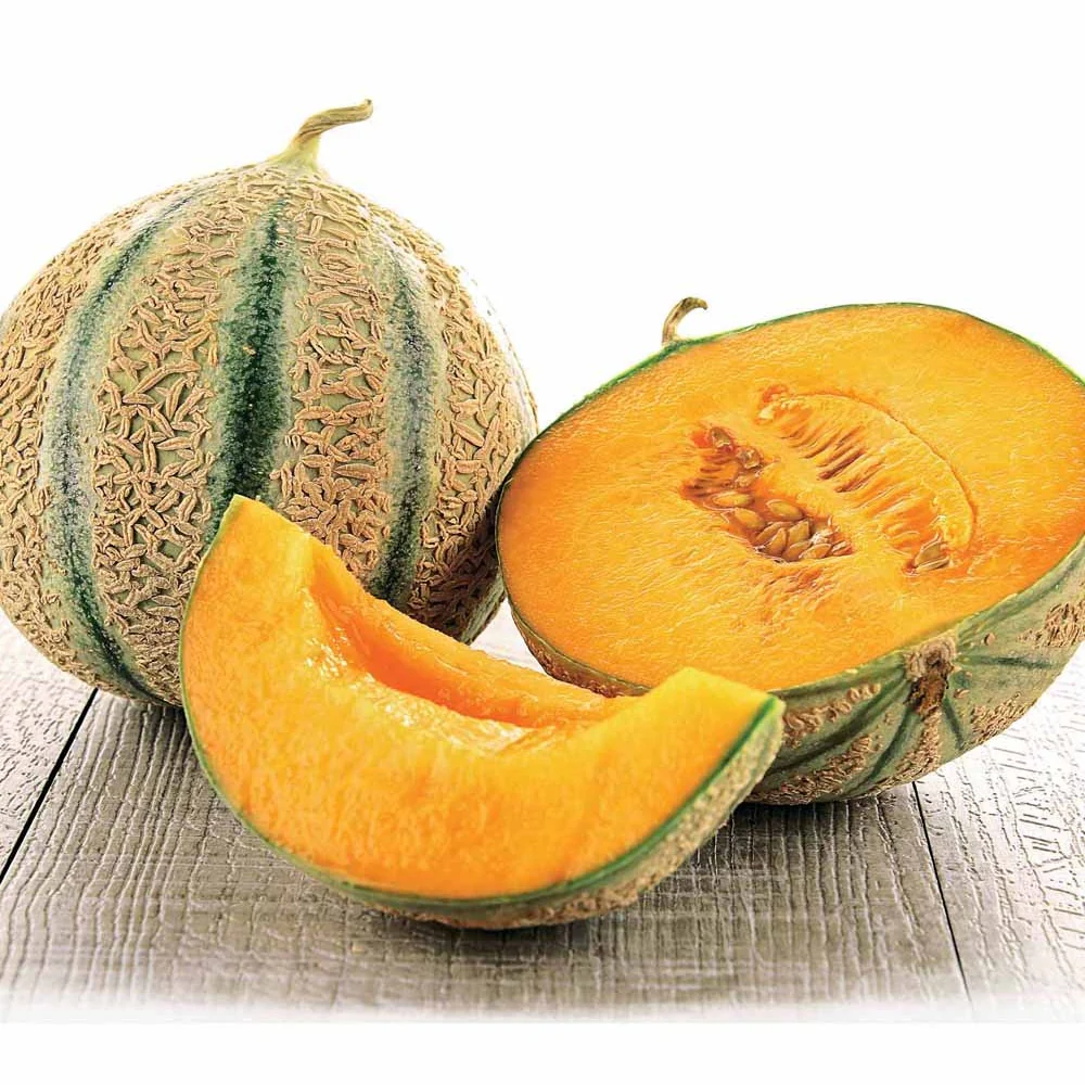 Zuckermelone Stellio F1
